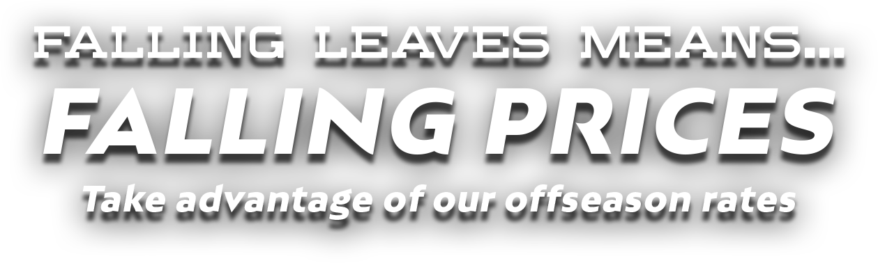 Falling Leaves Means Falling Prices!